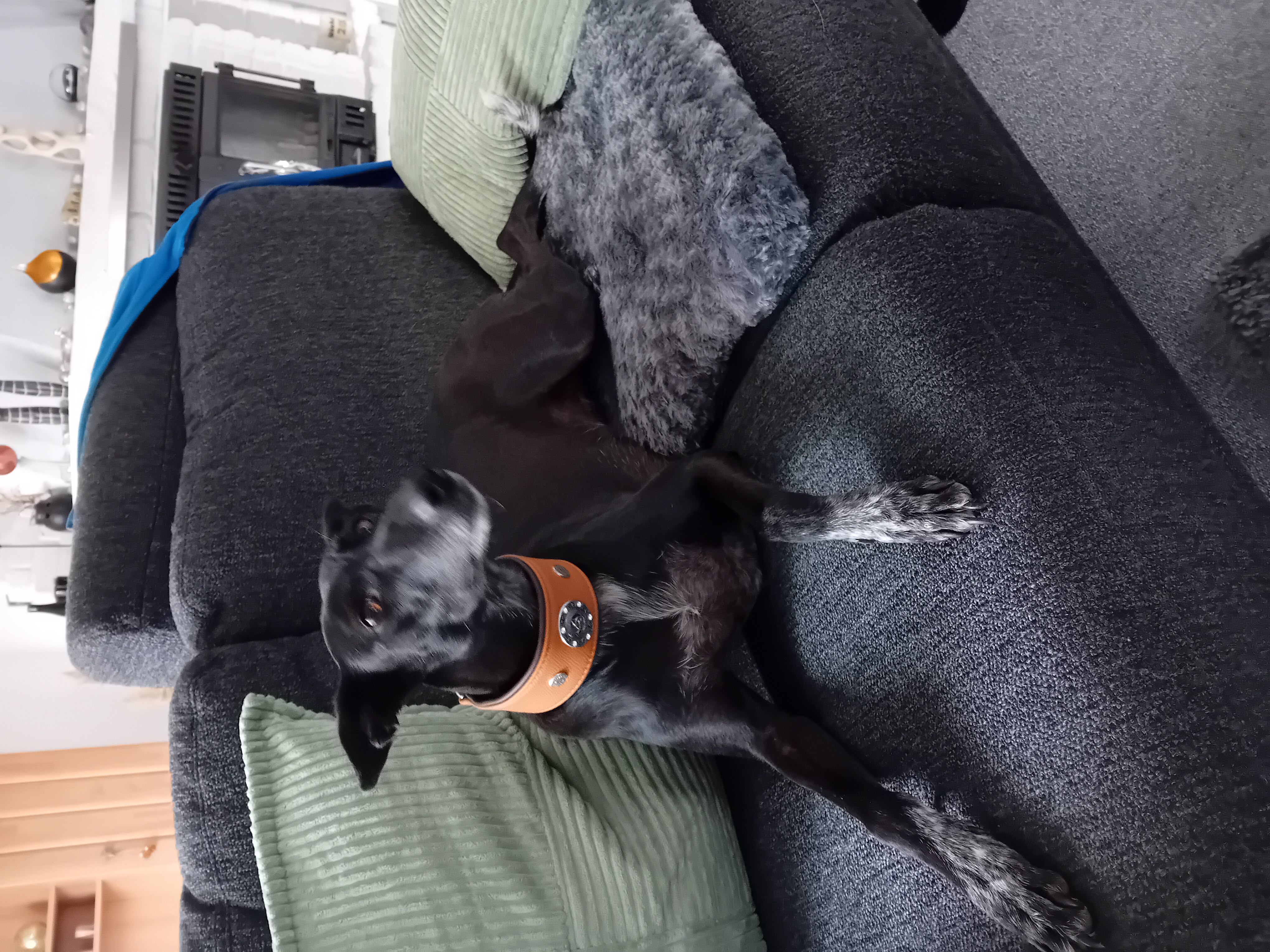 Morena - Odins Schutz