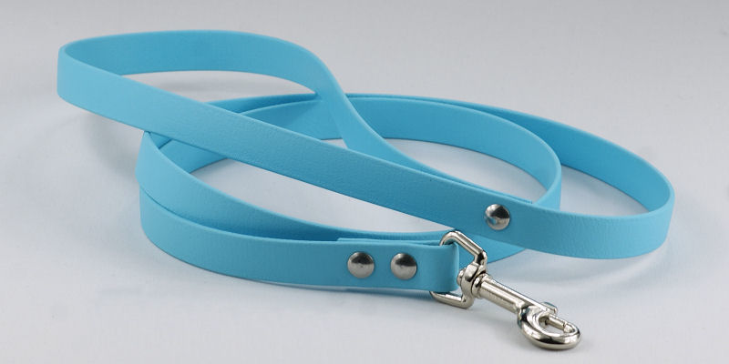 Biothane-Leine in Helltürkis mit silberfarbene Beschläge