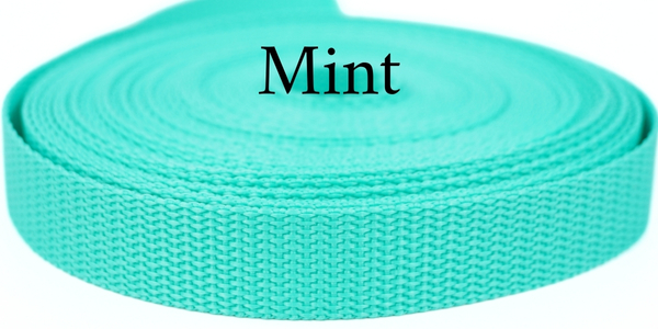 Gurtband Farbe Mint