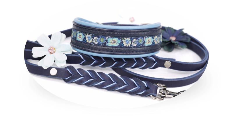 Fettlederleine in Dunkelblau mit Windhundhalsband