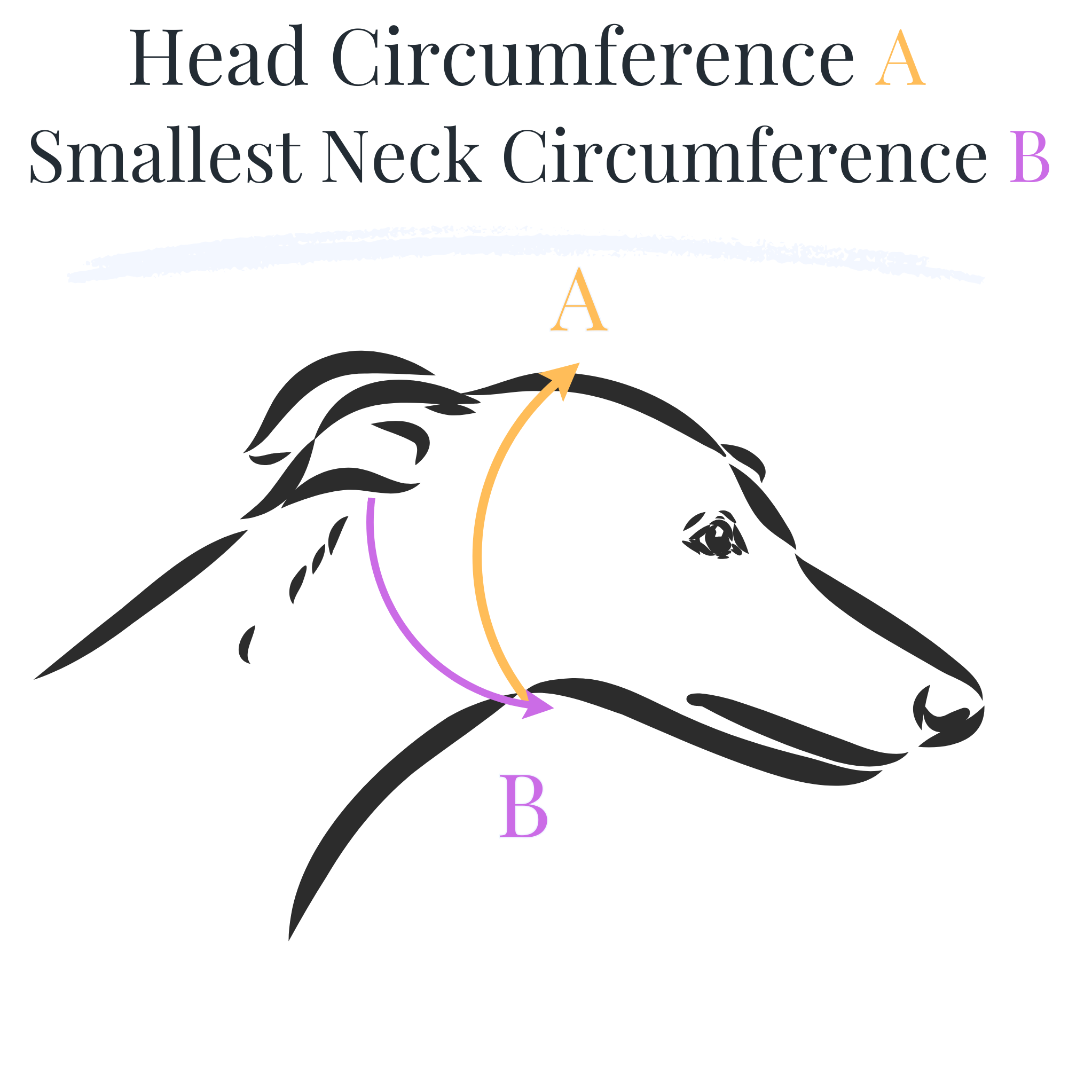 Messanleitung Zugstopp Halsband