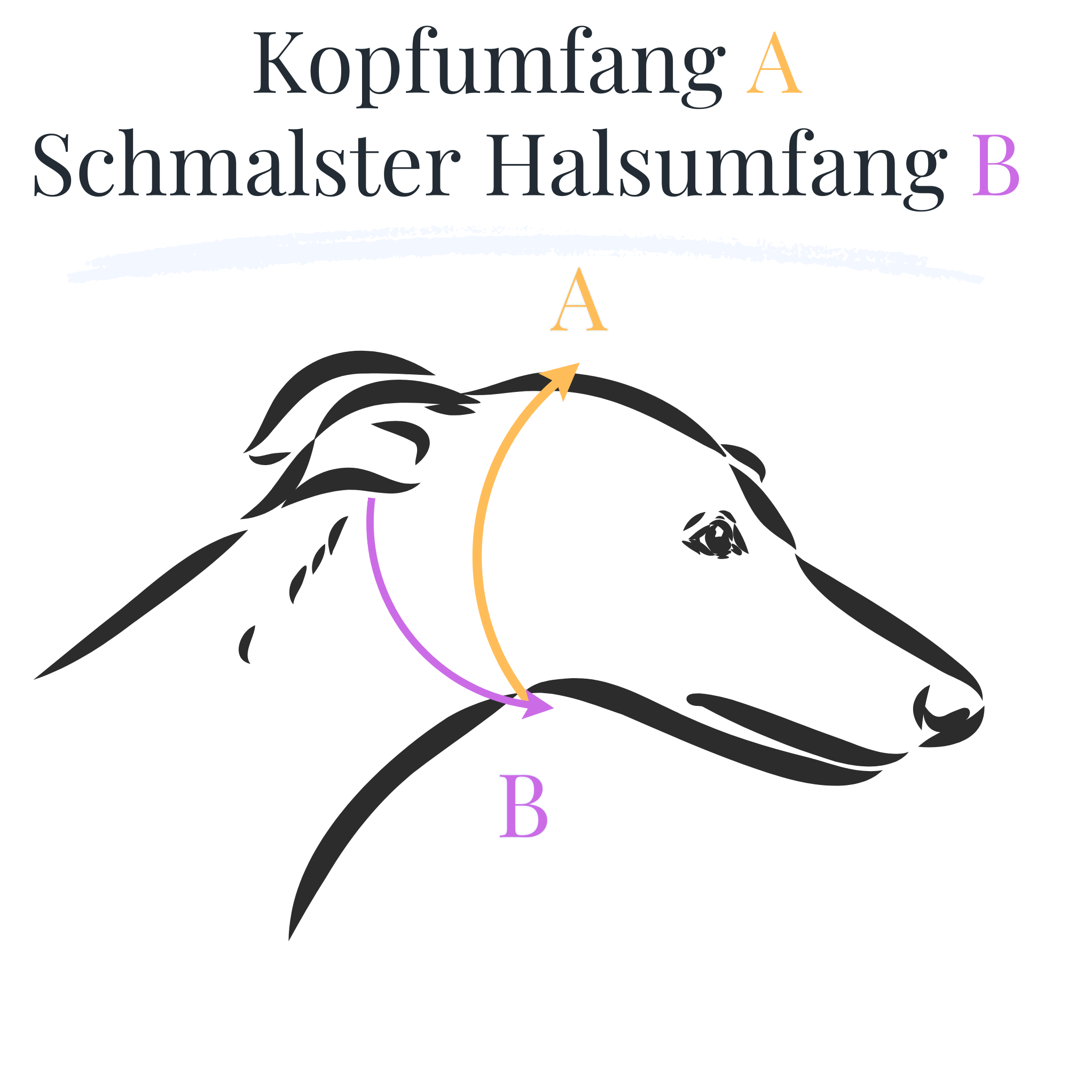 Messanleitung Zugstopp Halsband